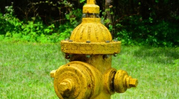 A fire hydrants in front of a grassy background
