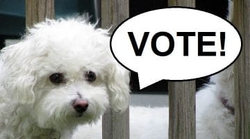 A small dog pictured with a speech bubble that says "Vote"